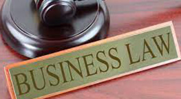 Business Law Class Help