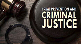 Criminal Justice Class Help